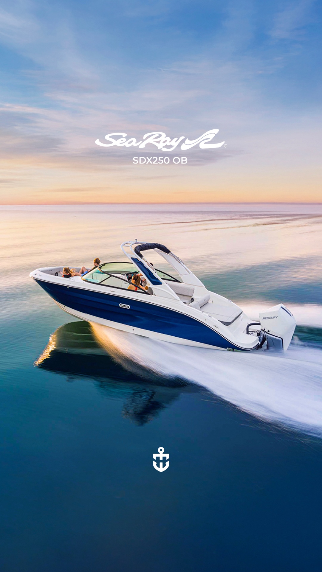 Sea Ray SDX 250